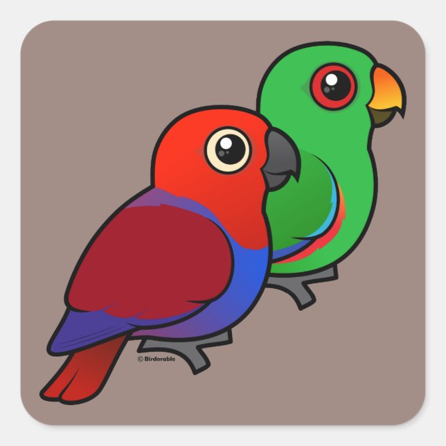 Eclectus Pair Square Sticker (Front)