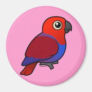 Eclectus Parrot female Magnet