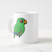 Eclectus Parrot male