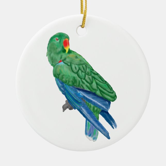 Eclectus Parrot Ornament (Front)