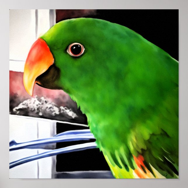 Eclectus Parrot Square Poster (Front)
