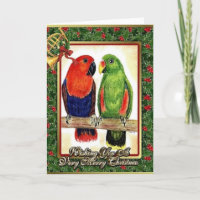 Eclectus Parrots Christmas Card