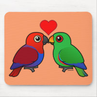 Eclectus Parrots in Love