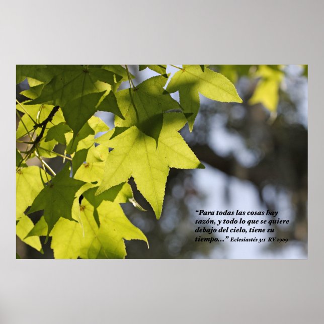 Eclesiastes 3:1 con Hojas Poster (Front)