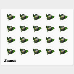 Eco Friendly Enviroment T-Shirt Classic Round Sticker