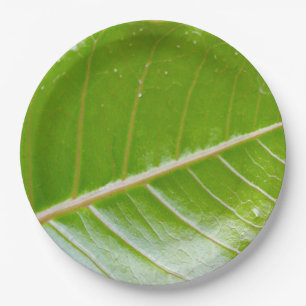 Eco-Friendly Green Leaf 9" Round Paper Plate