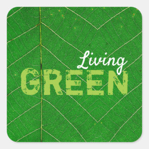Eco Friendly Living Green Square Sticker