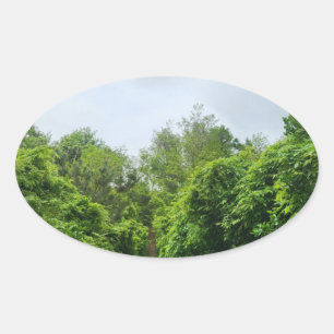 eco-friendly product stickers