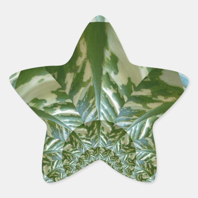Eco Green Camo Kaleidoscope Art Print Design Star Sticker (Front)