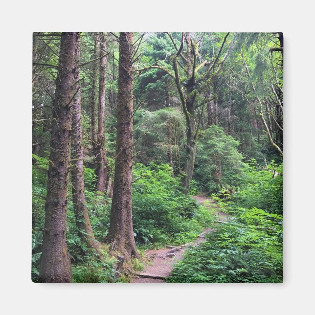 Ecola State Park, Cannon Beach, Oregon Magnet (Front)