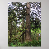 Ecola State Park, Cannon Beach, Oregon