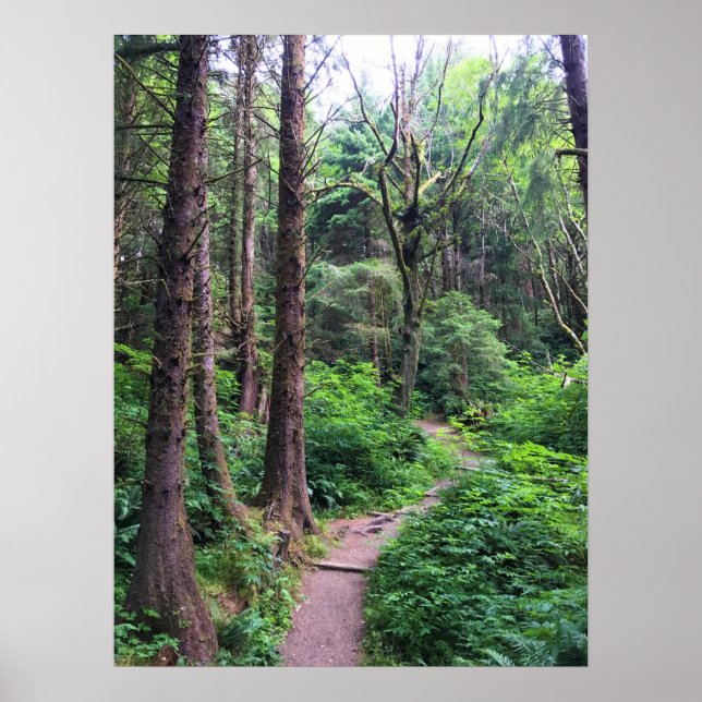 Ecola State Park, Cannon Beach, Oregon Poster (Front)