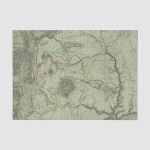 Economical Features of New Mexico Tissue Paper