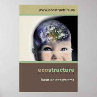 Ecostructure Poster 24x36