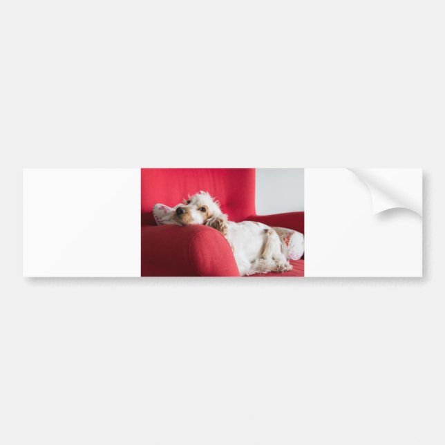 ecs orange and white chillin bumper sticker (Front)