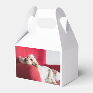 ecs orange and white chillin favour box