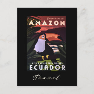 Ecuador Amazon Colourful Bird Vintage Travel Postcard