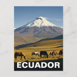 Ecuador Cotopaxi National Park travel Postcard