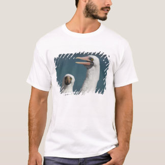 Ecuador, Galapagos. Genovesa Island aka Tower, T-Shirt
