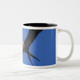 Ecuador, Galapagos. Genovesa Island aka Tower, Two-Tone Coffee Mug