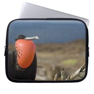 Ecuador, Galapagos, Genovesa Island. Prince Laptop Sleeve