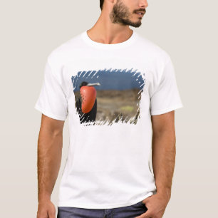 Ecuador, Galapagos, Genovesa Island. Prince T-Shirt