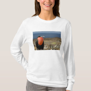 Ecuador, Galapagos, Genovesa Island. Prince T-Shirt