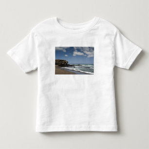 Ecuador, Galapagos, Santiago aka James). 4 Toddler T-Shirt