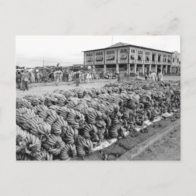 Ecuador Peurto Bolivar Postcard (Front)