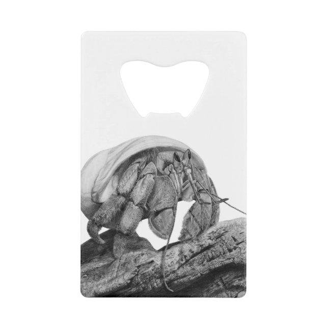 Ecuadorian Hermit Crab Art (Front)
