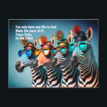 Ed the Zebra - Funny Make the Most of Life Quote Postcard<br><div class="desc">You only have one life to live.  Make the most of it.
Yours Truly, 
Ed the Zebra

Ed the Zebra - Funny Make the Most of Life Quote
Funny Zebras Cute Zoo Animals Wearing Party Hats and Glasses</div>