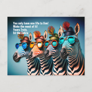 Ed the Zebra - Funny Make the Most of Life Quote Postcard
