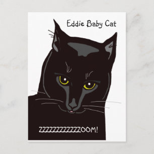 Eddie Baby Cat Postcard