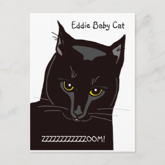 Eddie Baby Cat Postcard