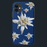 Edelweiss Case on dark blue background<br><div class="desc">Edelweiss flower from the Alpes on a dark blue background</div>