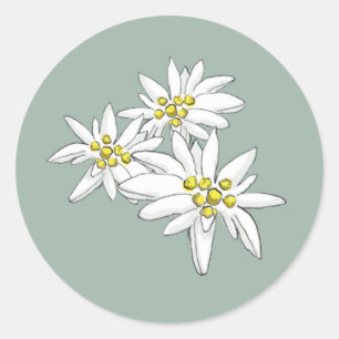 Edelweiss Elegant Hand-Drawn Wildflowers Envelope Classic Round Sticker