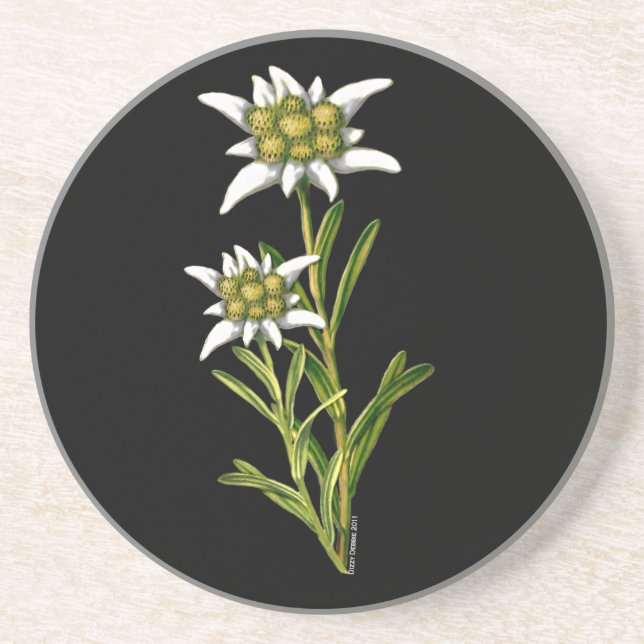 Edelweiss Floral Coaster (Front)
