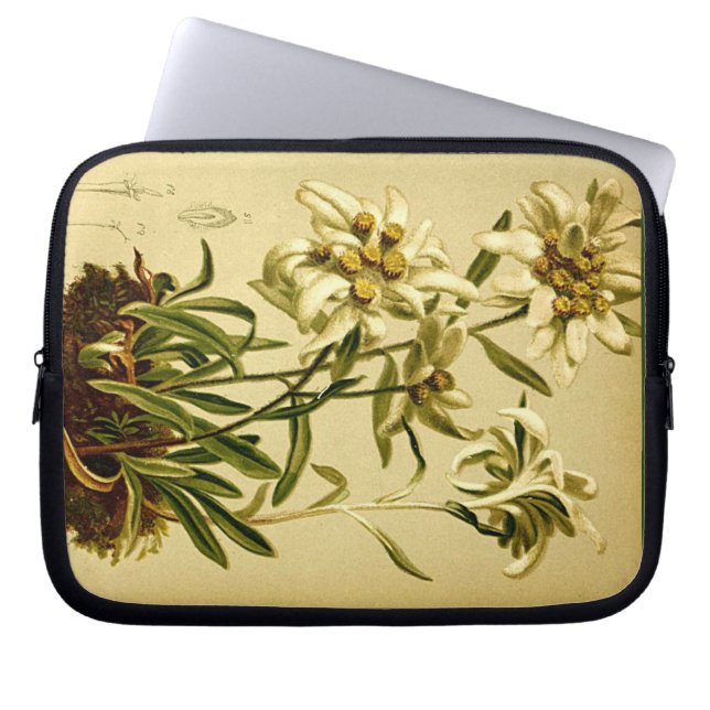 Edelweiss Flower Laptop Sleeve Pouch Case (Front)