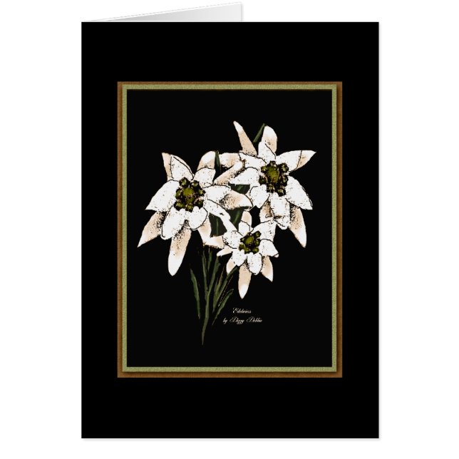 Edelweiss Flowers (Front)
