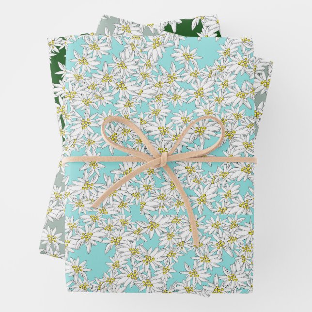 Edelweiss Hand-Drawn Sound of Music Alpine Floral  Wrapping Paper Sheet (In situ)