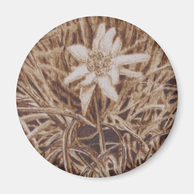 Edelweiss - Stella alpina Magnet (Front)