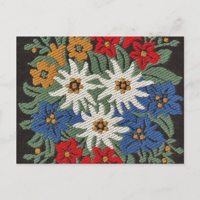 Edelweiss Swiss Alpine Flower Postcard (Front)