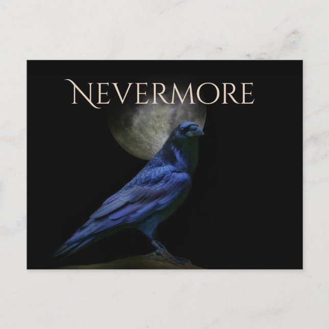 Edgar Allan Poe Raven Halloween Nevermore Postcard (Front)