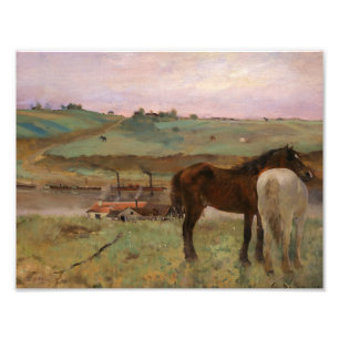 Edgar Degas - Horses in a Meadow Photo Print