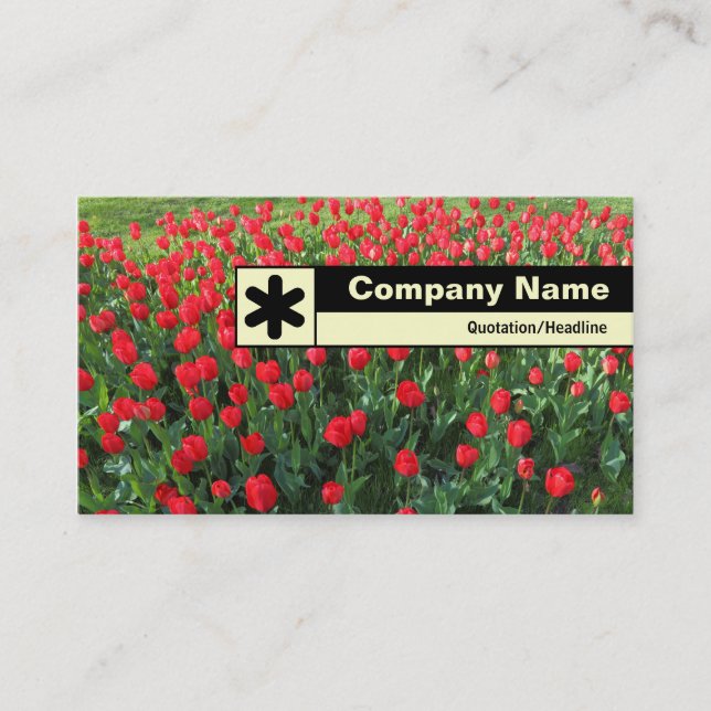 Edge Labelled - Bed of Red Tulips 01 Business Card (Front)