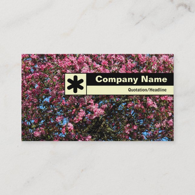 Edge Labelled - Pink Cherry Blossom Business Card (Front)