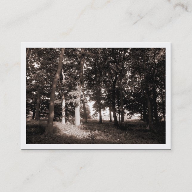 Edge of the Woods, Mini Photo Card (Bordered) (Front)