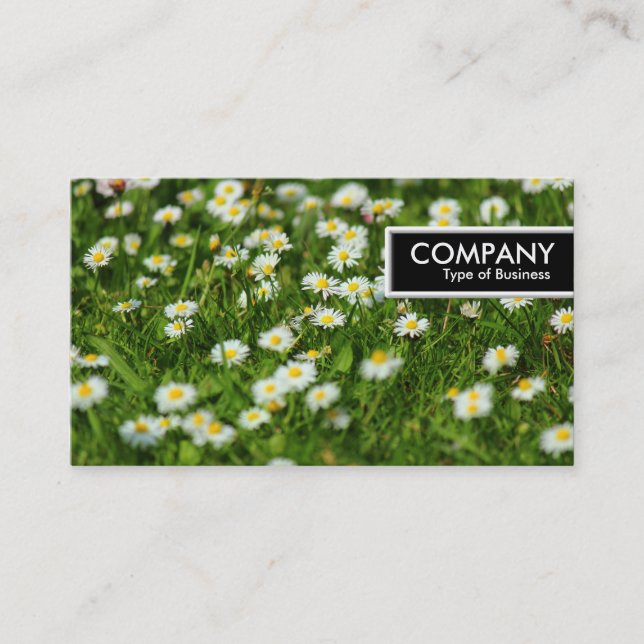 Edge Tag - Daisy Meadow (Front)
