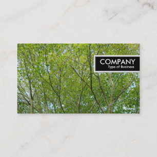 Edge Tag - Japanese Maple