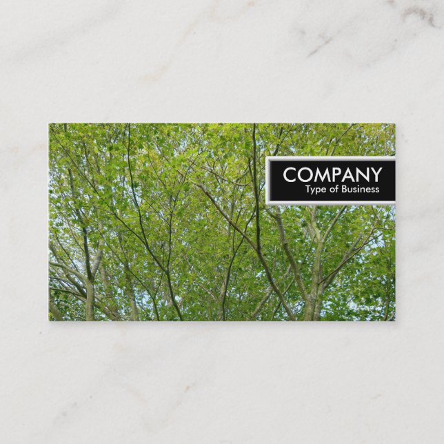 Edge Tag - Japanese Maple (Front)